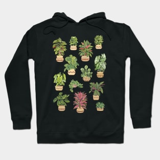 House plants collection Hoodie